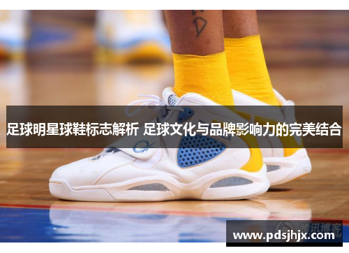 足球明星球鞋标志解析 足球文化与品牌影响力的完美结合