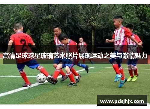 高清足球球星玻璃艺术照片展现运动之美与激情魅力